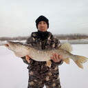 ���������� ���������, ���� ������� �������, 36 ���, ������������ ��� ����� � ���������, c�������� ���������, ���������