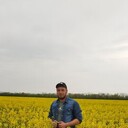  ,   , 37 ,   ,   , 