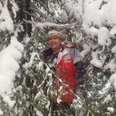 ���������� ������, ���� ������� �������, 37 ���, ������������ ��� ������, ����� � ���������