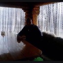 ���������� ������-��-����, ���� ������� �����, 44 ����, ������������ ��� ������, ����� � ���������, c�������� ���������