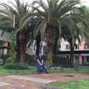 ���������� �����������, ���� ������� ˸����, 45 ���, ������������ ��� ������, ����� � ���������, c�������� ���������