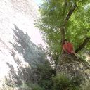 ���������� ��������, ���� ������� Denis, 40 ���, ������������ ��� ����� � ���������, c�������� ���������