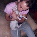 ���������� ������, ���� ������� ������, 40 ���, ������������ 