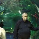 ���������� ������, ���� ������� ���������, 61 ���, ������������ ��� ������, ����� � ���������, c�������� ���������