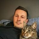 ���������� ������, ���� ������� ������, 44 ����, ������������ ��� c�������� ���������