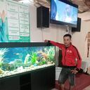 ���������� ���, ���� ������� ����� ������, 33 ����, ������������ ��� ������, ����� � ���������