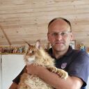  ,   , 46 ,   ,   , c , 