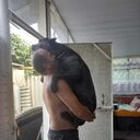 ���������� ���������, ���� ������� Sergey, 43 ����, ������������ ��� ������, ����� � ���������