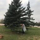  ,   , 26 ,     , c , 
