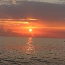 ���������� ���������, ���� ������� ������, 43 ����, ������������ ��� ������