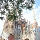  ,   Alekcandr, 64 ,   ,   , c 