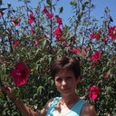 ���������� ���������, ���� ������� ��������, 44 ����, ������������ ��� ����� � ���������, c�������� ���������