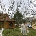  -,   , 59 ,   