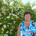  ,   , 55 ,   