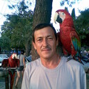  ,   , 60 ,   c 
