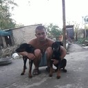 ���������� ���������, ���� ������� ������, 36 ���, ������������ ��� ������, ����� � ���������, c�������� ���������