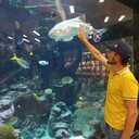 ���������� ������ ��������, ���� ������� ����, 34 ����, ������������ ��� ������, ����� � ���������