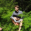 ���������� ������, ���� ������� ������, 41 ���, ������������ ��� ������, ����� � ���������