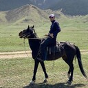  ,   Boroda, 33 ,   ,   
