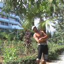 ���������� ���������, ���� ������� ����, 38 ���, ������������ 