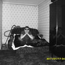 ���������� ������������, ���� ������� ����, 40 ���, ������������ ��� ������, ���������