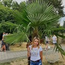  ,   , 43 ,   ,   , c 