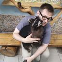 ���������� �����-���������, ���� ������� ���, 28 ���, ������������ ��� ������, ����� � ���������, c�������� ���������