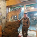 ���������� ������, ���� ������� �������, 45 ���, ������������ ��� ������, ����� � ���������, c�������� ���������, ���������