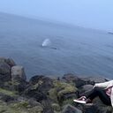 ���������� �������, ���� ������� ���������, 35 ���, ������������ ��� ������, ����� � ���������, c�������� ���������