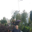  ,   , 53 ,   