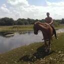 ���������� ������, ���� ������� ������, 41 ���, ������������ ��� ������, ����� � ���������, c�������� ���������