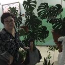  ,   , 41 ,     , c 