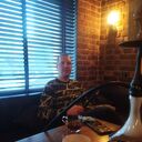 ���������� �����-���������, ���� ������� ����, 38 ���, ������������ 