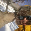 ���������� �����������, ���� ������� �����, 40 ���, ������������ ��� c�������� ���������, ���������