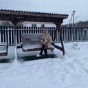  ,   Nika, 51 ,     , 