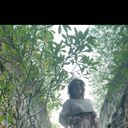 ���������� �������, ���� ������� ������, 29 ���, ������������ ��� ������, ����� � ���������