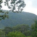 ���������� �������, ���� ������� Tamazi, 39 ���, ������������ ��� ������, ����� � ���������, c�������� ���������