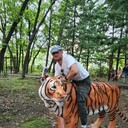 ���������� �����������, ���� ������� �������, 44 ����, ������������ ��� c�������� ���������