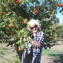 ���������� ������, ���� ������� ����, 59 ���, ������������ ��� c�������� ���������, ���������