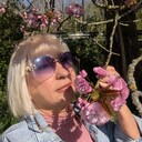  Aalst,   , 55 ,     , c 