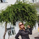  ,   , 50 ,   ,   , c 