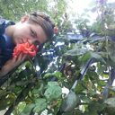 ���������� ����, ���� ������� ���������, 25 ���, ������������ ��� ����� � ���������, ���������