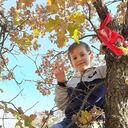 ���������� �����������, ���� ������� �����, 38 ���, ������������ ��� ������, ����� � ���������, c�������� ���������, ���������