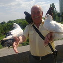  ,   , 76 ,   