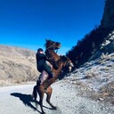 ���������� ���������, ���� ������� �����, 37 ���, ������������ ��� ������, ����� � ���������