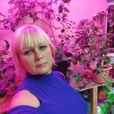  -,   , 50 ,   ,   