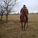  ,   , 40 ,   ,   , c , 