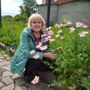 ���������� ���������, ���� ������� �������, 56 ���, ������������ ��� ������, ����� � ���������, c�������� ���������