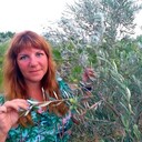 ���������� ���������, ���� ������� �������, 45 ���, ������������ ��� ������, ����� � ���������, c�������� ���������, ���������