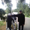 ���������� ����, ���� ������� �������, 43 ����, ������������ ��� ������, ����� � ���������, c�������� ���������